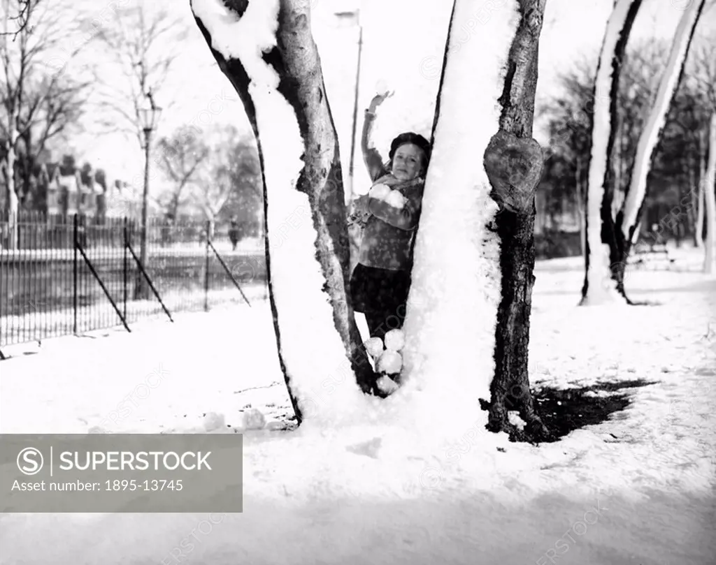 Girl with snowballs, 27 January 1935  A small girl taking cover between two trees, with an armful of snowballs at the ready  Photograph taken in a par...