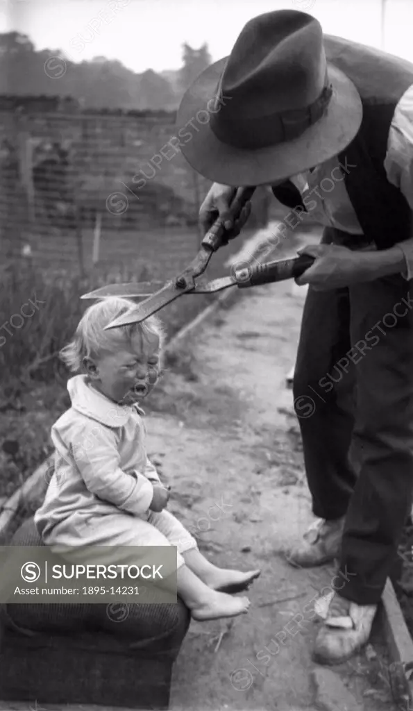 Man about to cut crying child´s hair with gardening shears, c 1920s.