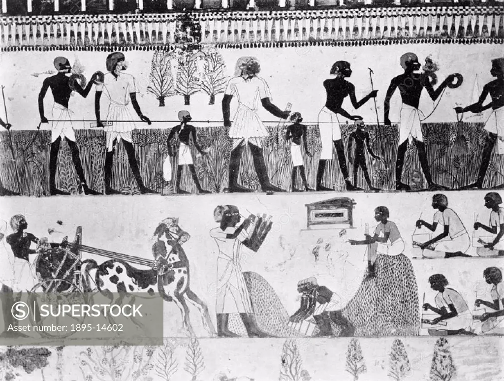 Taken from a mural at Abd- El-Qurna, Thebes, Egypt. The fresco depicts Egyptians using a knotted measuring rope.