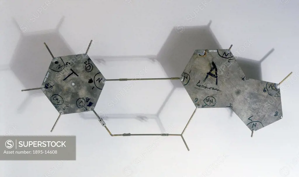These aluminium templates are part of a model representing the structure of DNA. The plates represent bases, those groups of atoms that make up DNA´s ...