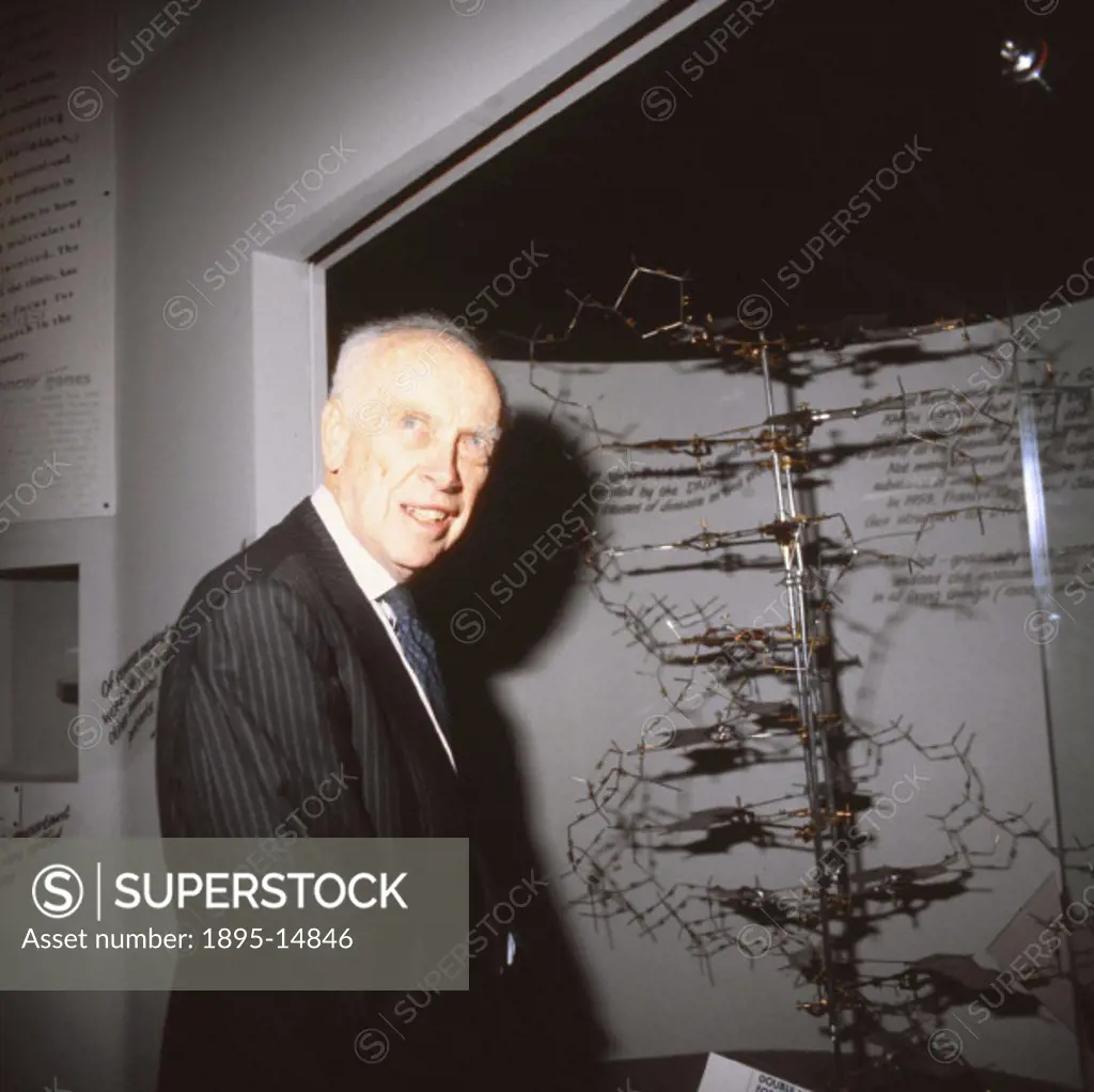 James Dewey  Watson (b 1928) discovered the structure of DNA with Francis Crick (b 1916) at the Cavendish Laboratory, Cambridge in 1953. The model sho...