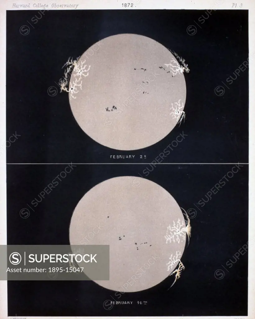 Lithographic colour print issued by Harvard College Observatory in 1876, showing the solar photosphere, the visible surface of the Sun. Based on sketc...