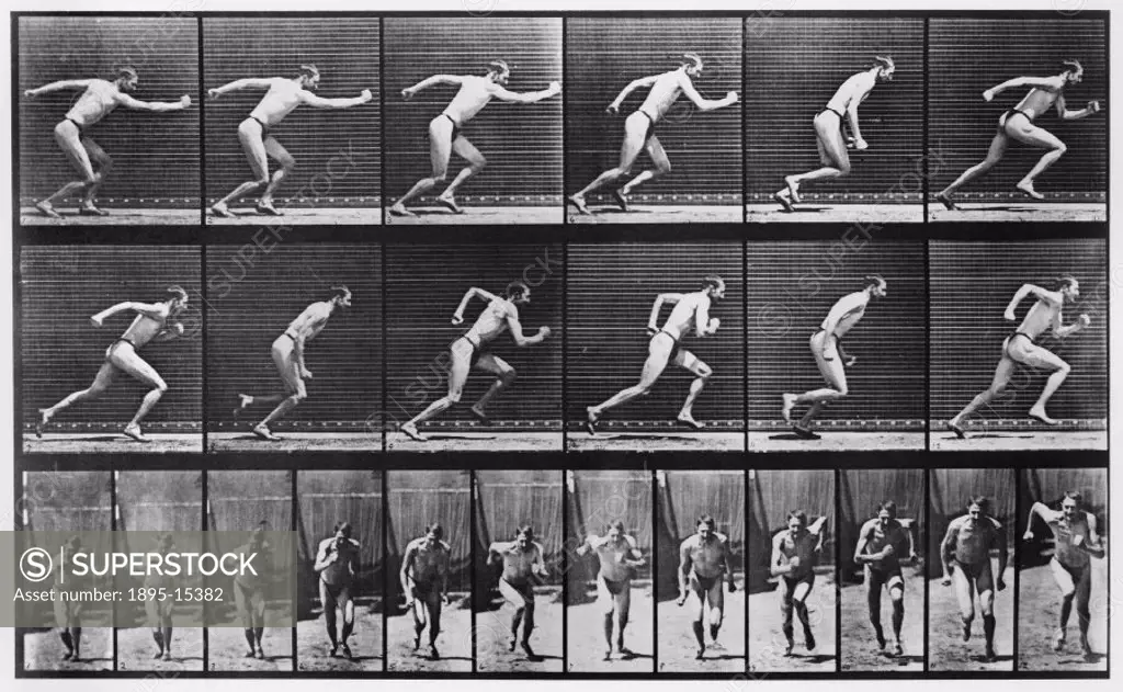 Plate taken from Muybridge´s ´Animal Locomotion´ (1872-1885). Eadweard Muybridge (1830-1904) was the first photographer to carry out the analysis of m...