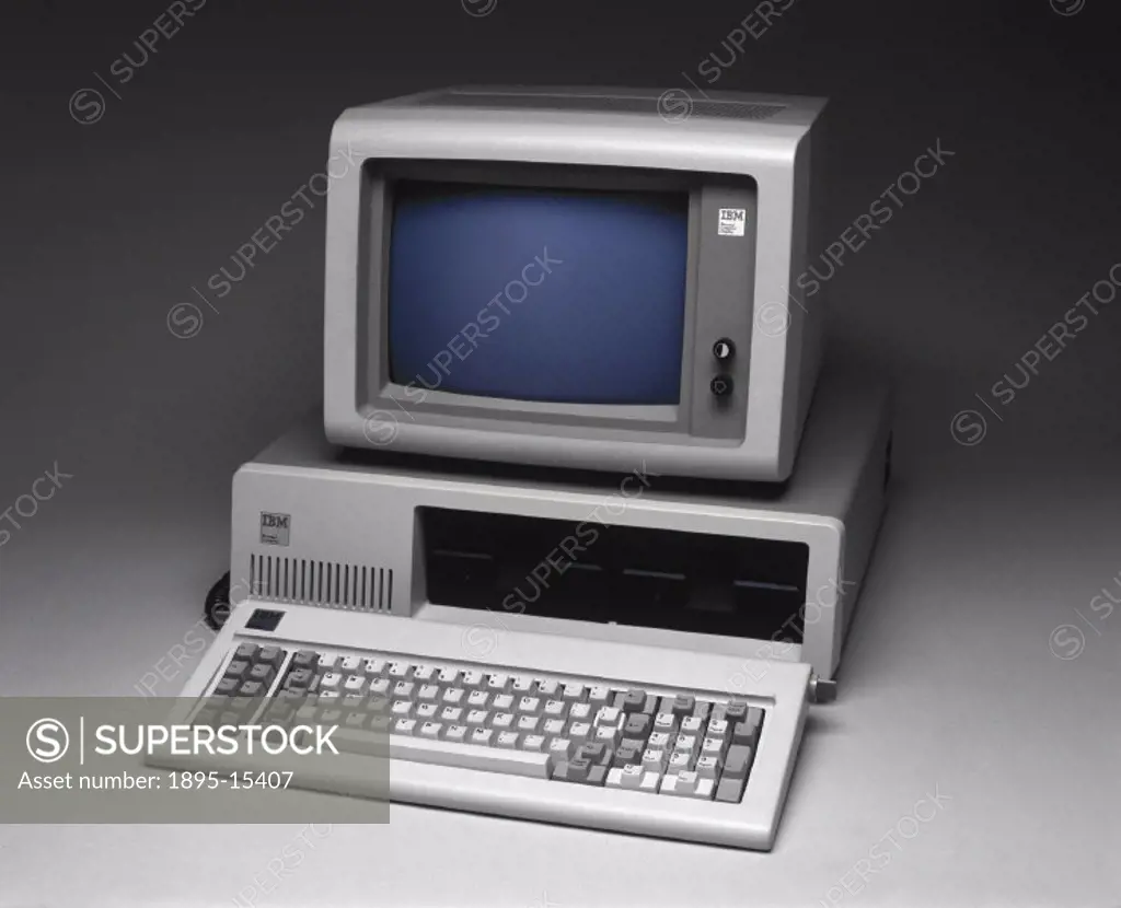 The IBM Personal Computer System was introduced to the market in early 1981, at a time when IBM was the world´s largest mainframe computer manufacture...