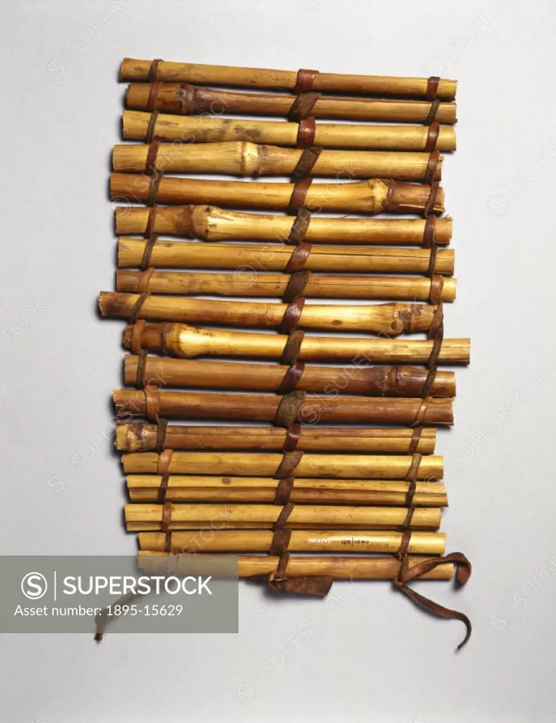 A cane splint made from sections of the stems of Guinea corn forming slats bound with strips of leather. It would have been used for treating fracture...