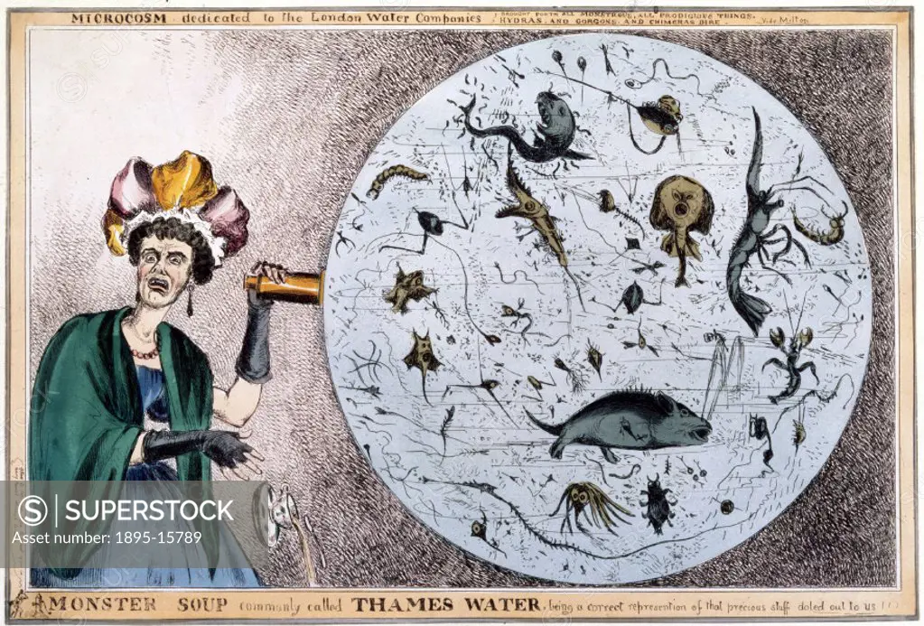 Coloured satirical engraving by William Heath (1795-1840), also know by his pseudonym Paul Pry, showing a lady discovering the quality of the Thames w...