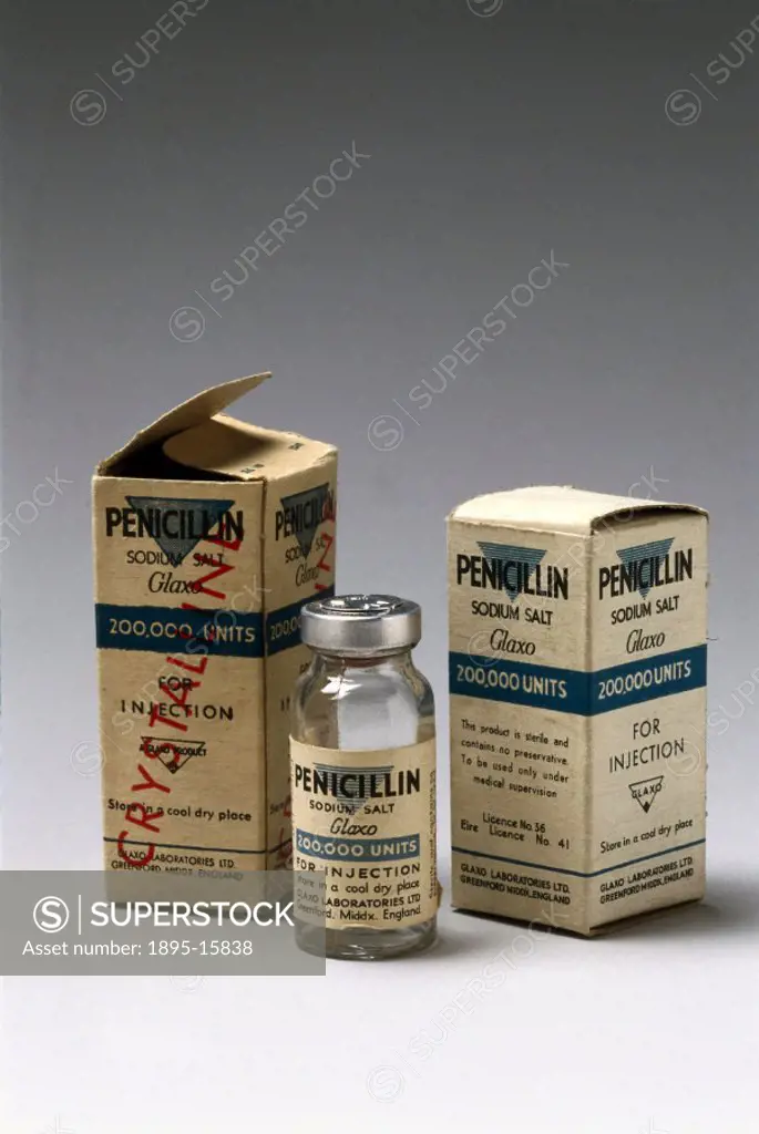 In 1928 Alexander Fleming (1881-1955) discovered that the Penicillium mould produced a substance toxic to bacteria, which he called penicillin. ln 194...