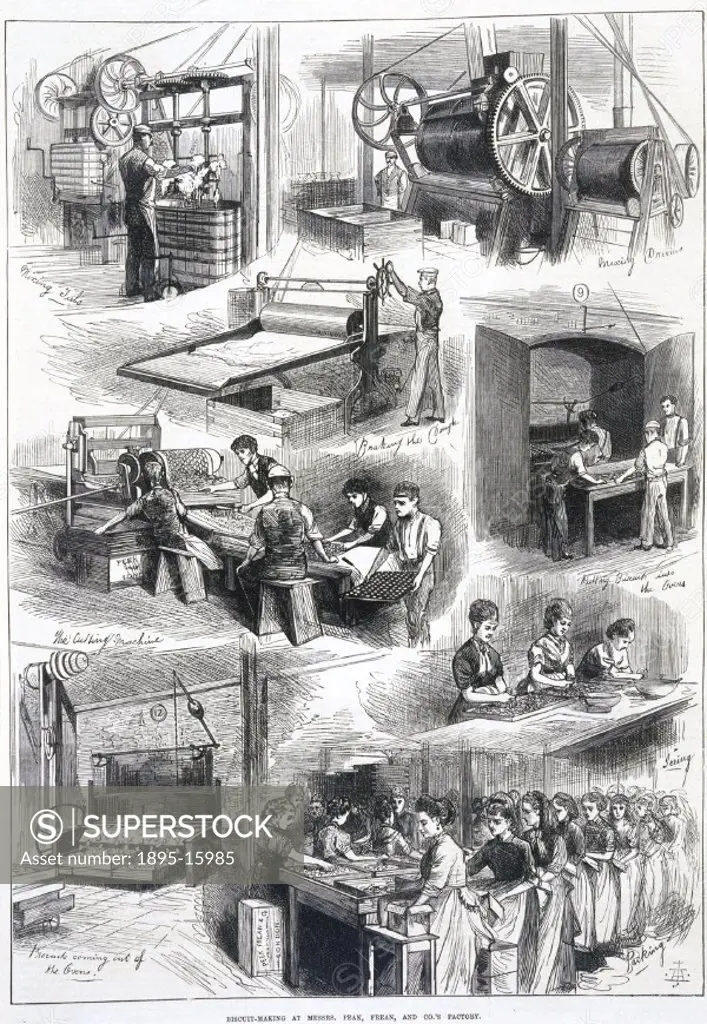 Engraving taken from the Illustrated London News, 5 December 1874. The illustration shows the various stages of the biscuit making process at Peek, Fr...
