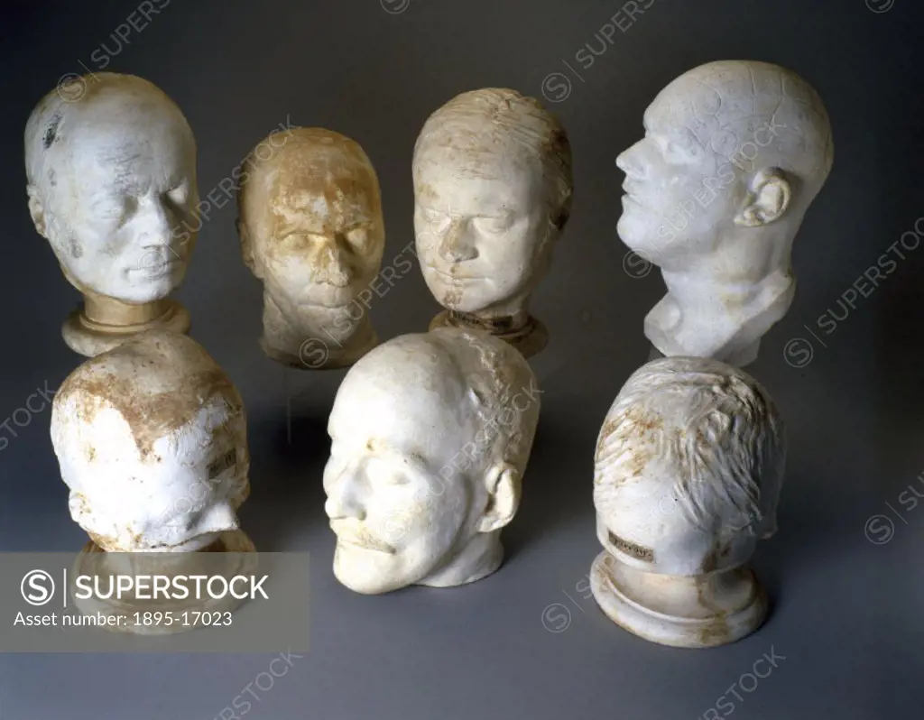 These heads by various makers were used to illustrate the theories of phrenology, and belong to the Wadebridge Town Institution in Cornwall. Franz Jos...