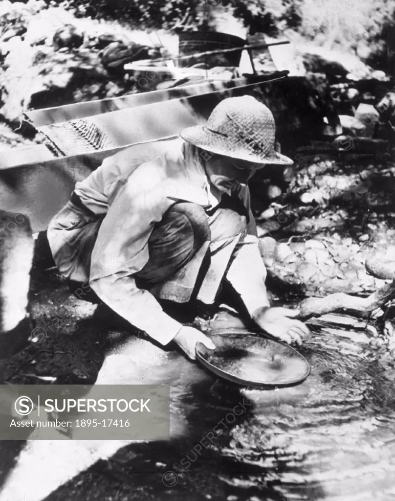 Photograph showing Alice Kimball panning a sample of gold discovered on her ranch near San Diego, California. Mrs Kimball turned down offers of $20,00...