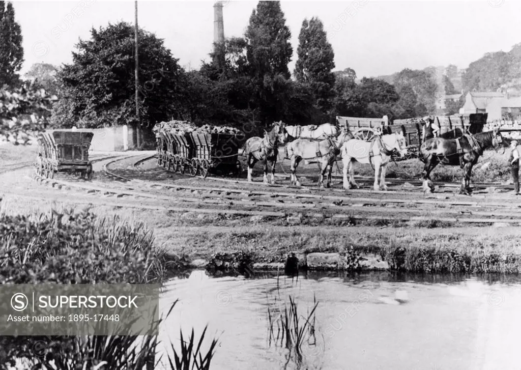 Horses hauling coal wagons, Derby Canal, Derbyshire, c 1908. Horses hauling coal wagons on the Little Eaton gangway alongside the Derby Canal. The tra...