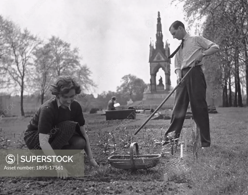 A couple gardening an allotment in Hyde Park, 18 May 1941.