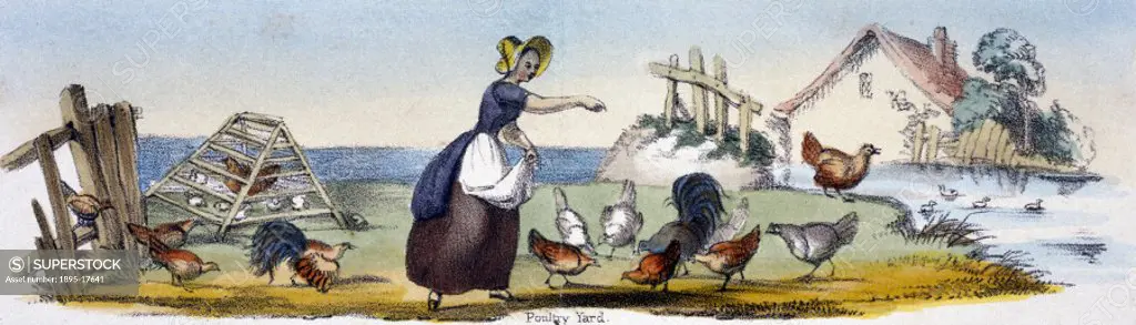 Vignette from a lithographic plate showing a woman feeding chickens. Taken from ´Domestic Fowls´ in ´Graphic Illustrations of Animals - Showing Their ...