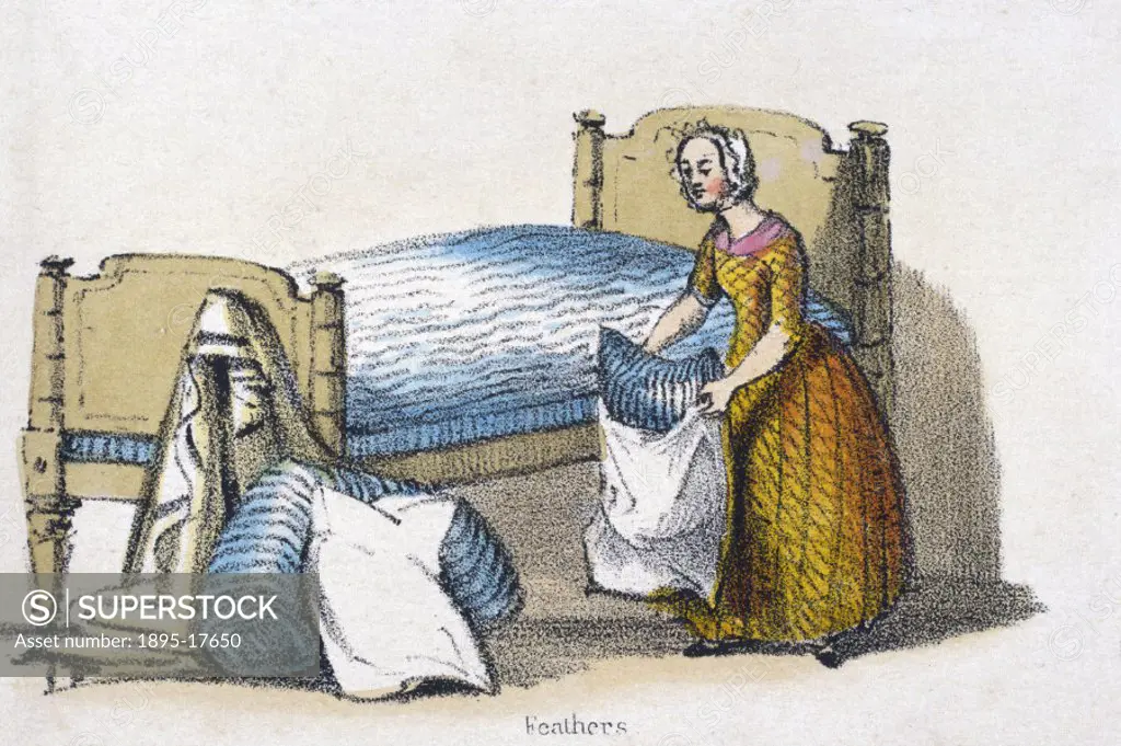 Vignette from a lithographic plate showing a woman domestic putting a pillowcase on a feather filled pillow. Taken from ´Dometic Fowls´ in ´Graphic Il...