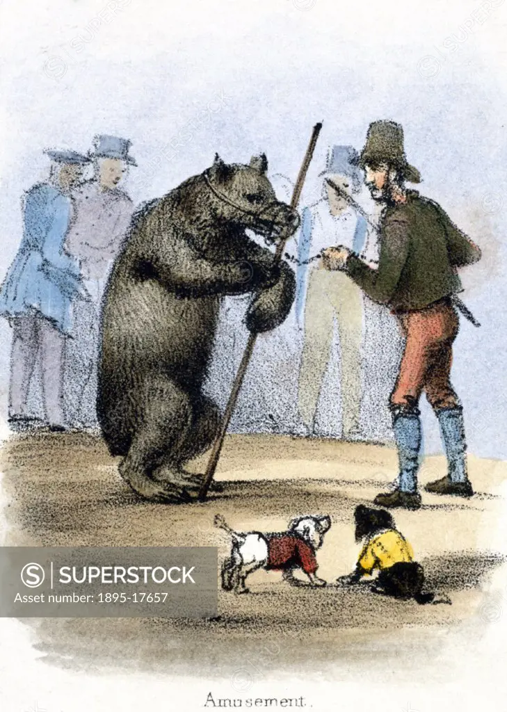 Vignette from a lithographic plate showing a man with a performing bear. Taken from ´The Bear´ in ´Graphic Illustrations of Animals - showing their ut...