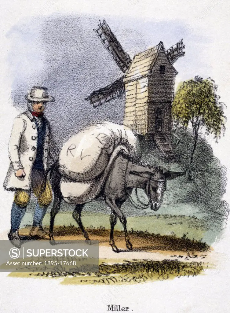 Vignette from a lithographic plate showing a donkey carrying sacks of grain. Taken from ´The Ass´ in ´Graphic Illustrations of Animals - showing their...