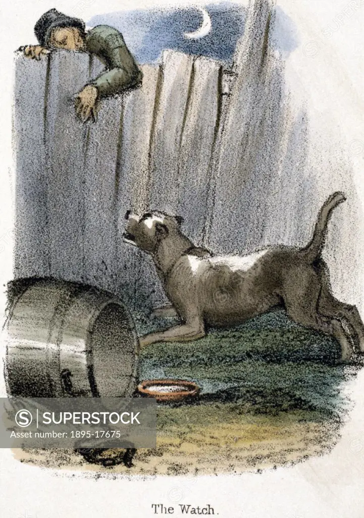 Vignette from a lithographic plate showing a guard dog barking at an intruder. Taken from ´The Dog´ in ´Graphic Illustrations of Animals - showing the...