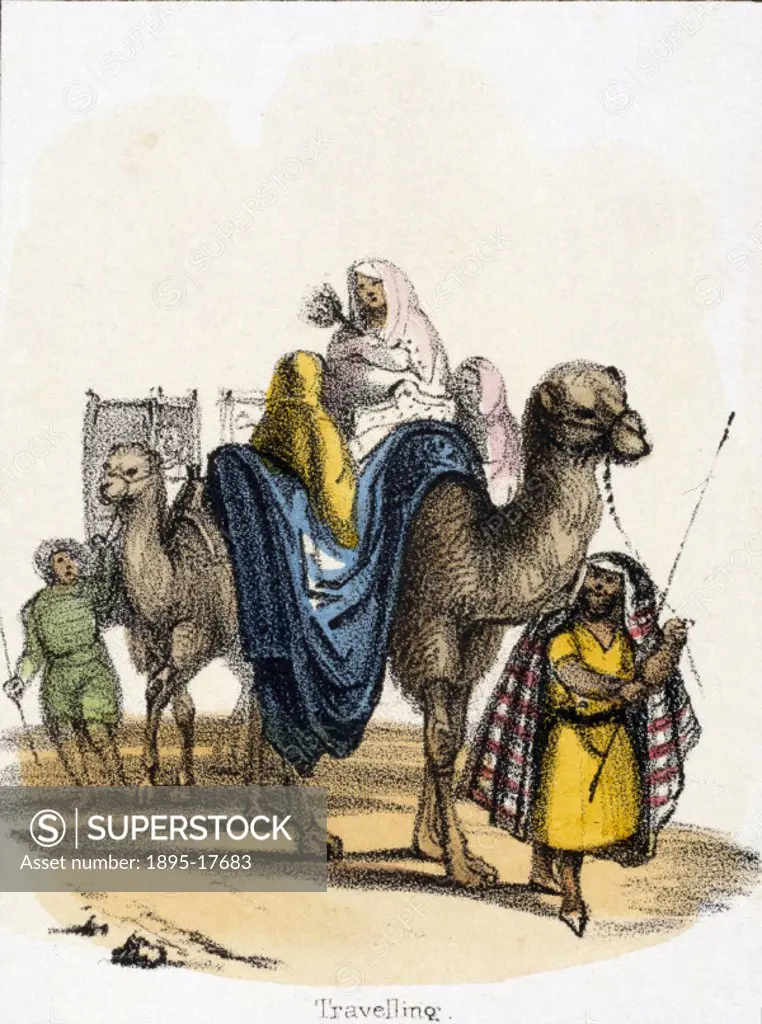 Vignette from a lithographic plate showing men travelling across the desert on camels. Taken from ´The Camel´ in ´Graphic Illustrations of Animals - s...