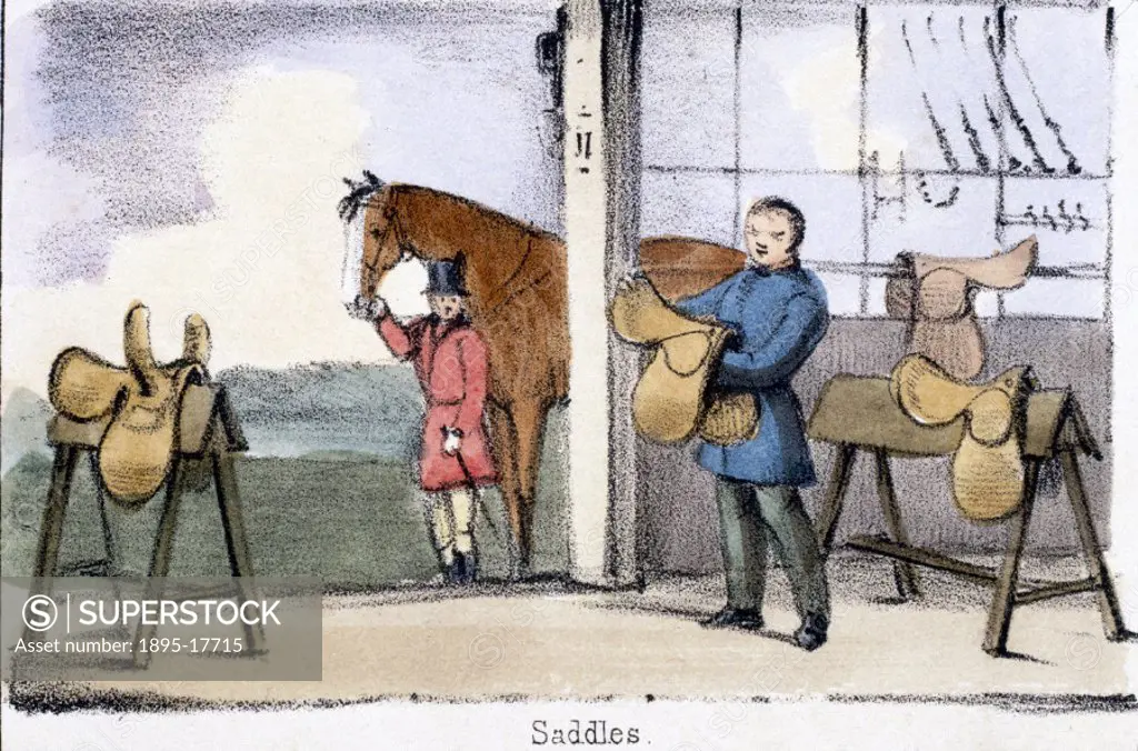 Vignette from a lithographic plate showing a tack room. Taken from ´The Pig´ in ´Graphic Illustrations of Animals - showing their utility to man in th...