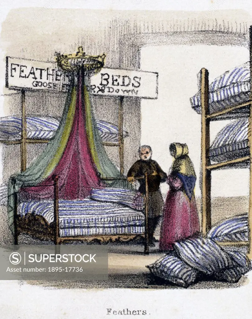 Vignette from a lithographic plate showing the interior of  a shop selling feather beds made of goose feathers and down. Taken from ´The Swan, Goose a...