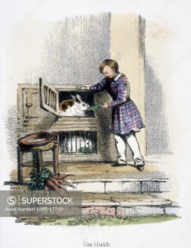 Vignette from a lithographic plate showing a boy feeding his pet rabbit in its hutch. Taken from ´The Hare and Rabbit´ in ´Graphic Illustrations of An...