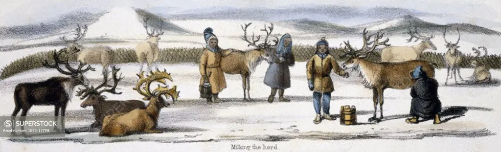 Vignette from a lithographic plate showing herdsmen with their reindeer. Taken from ´The Rein Deer´ in ´Graphic Illustrations of Animals - showing the...
