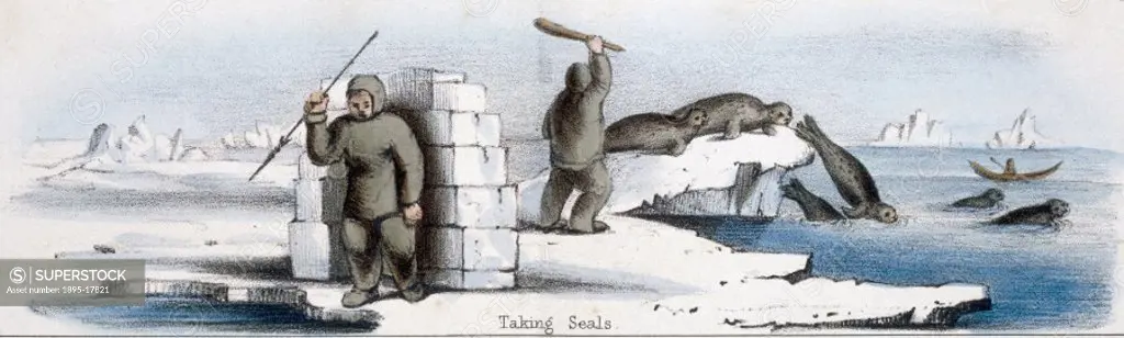 Vignette from a lithographic plate showing seal culling. Taken from The Seal and the Walrus’ in ´Graphic Illustrations of Animals - showing their uti...