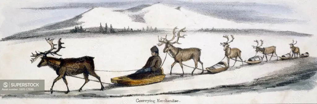 Vignette from a lithographic plate showing travelling herdsmen. Taken from ´The Rein Deer´ in ´Graphic Illustrations of Animals - showing their utilit...