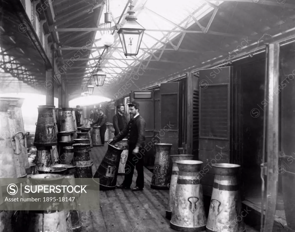 Midland Railway porters unloading milk at Somers Town fish and milk dock alongside St Pancras station, London. The churns had a capacity of 17 gallons...