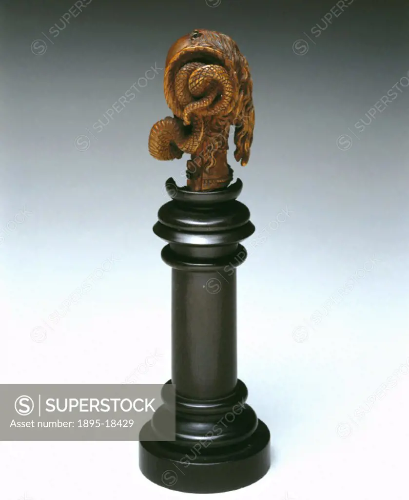 A wooden model on a plinth showing a female head divided into two halves: one half shows a woman´s face and hair, the other shows a skull. The hair is...