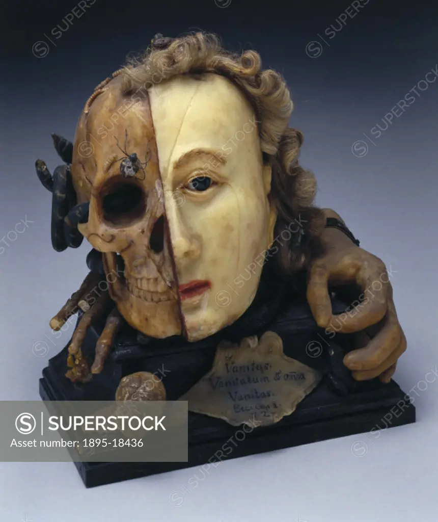 This is a wax model of a female head depicting life and death. One side shows a beautiful woman, the other shows the head exposed as a skull and with ...