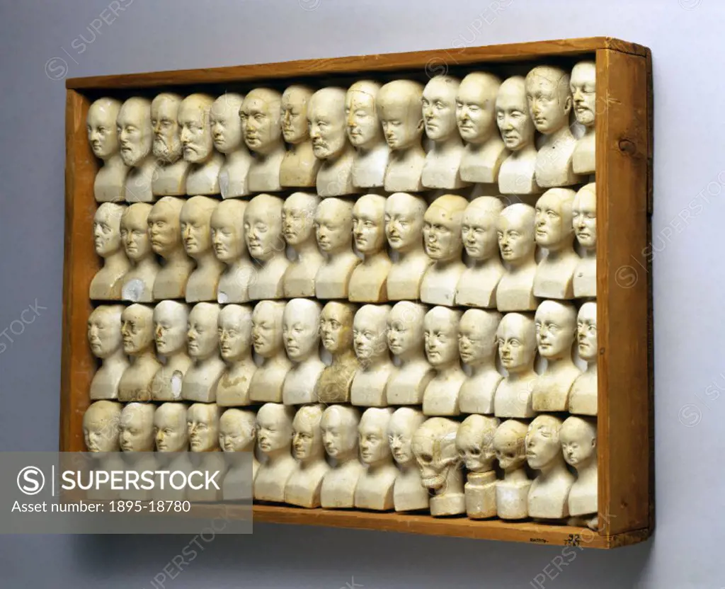 Wooden case containing sixty small phrenological heads made by the phrenologist William Bally of Dublin, Ireland, to illustrate the theories of phreno...