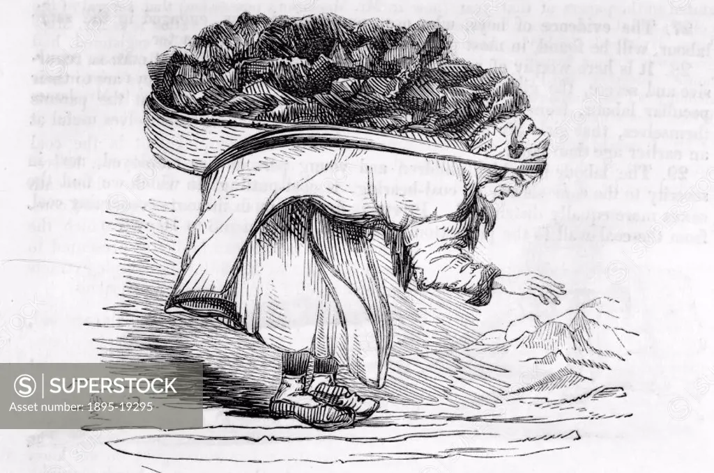 Illustration from the Children´s Employment Commission Report, 1842, showing a bending woman carrying a massive load of coals on her back. Child labou...