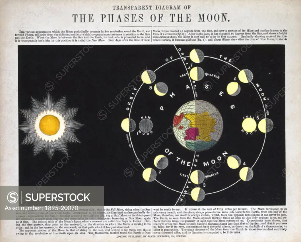One of a set of teaching cards published by James Reynolds & Sons, London, England around 1860. Titled ´The Phases of the Moon´, the chart was drawn a...