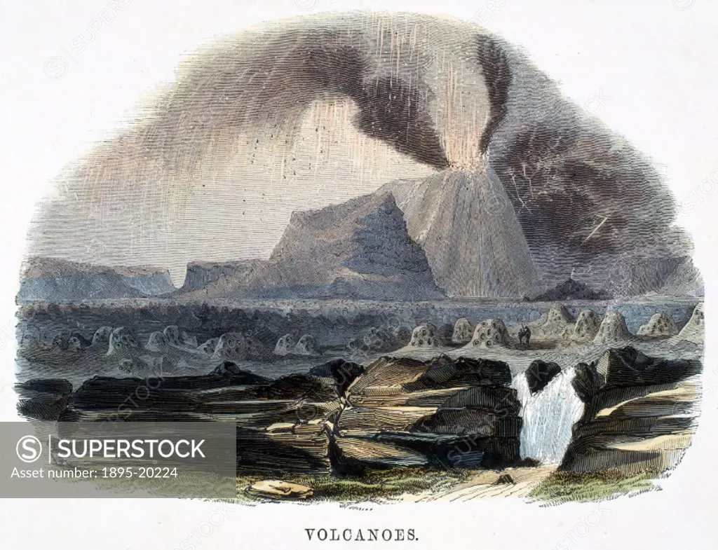 Colour engraving by Whymper taken from ´Phenomena of Nature´, published in London in 1849 for the Society for Promoting Christian Knowledge. ´Those pl...