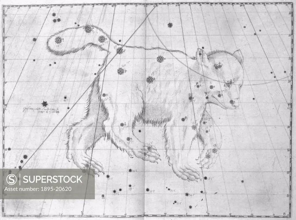 Illustration taken from ´Uranometria´ (1603) by Johann Bayer, showing the star constellation of Ursa Major (the Great Bear). German astronomer and law...