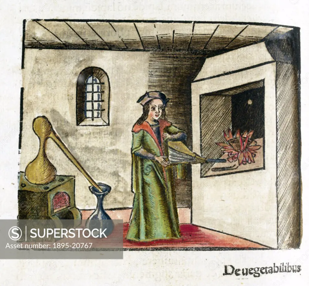 Hand-coloured woodcut from the ´Origin of Things´ section of the ´Margarita Philosophica´ (´The Philosophical Pearl´), by Gregor Reisch (1467-1525). ...