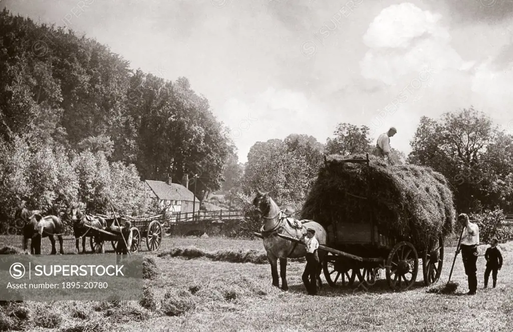 Photograph by Colonel Gale, showing farm workers loading a cart with wheat. One man steadies the horse, another forks the sheaves up to a third man st...