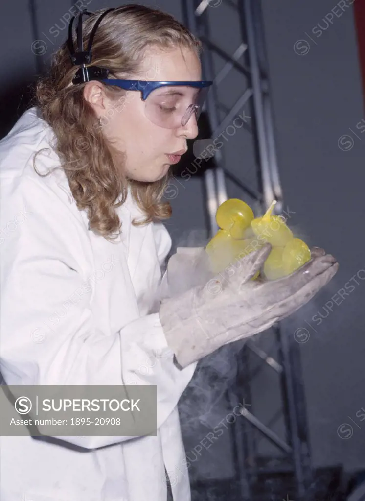 The effects of liquid nitrogen on a balloon, Science Museum, London, August 2001. Part of ´The Super Cool Show´, an event organised by the Science Mus...