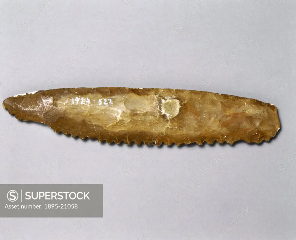 Plaster replica of an early flint saw found in Egypt, one of the earliest examples of a saw. Woodworking as a decorative craft began in Egypt around 3...