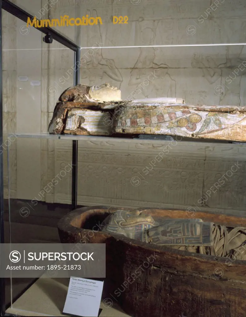 Egyptian mummy of the Hellenistic period in wooden sarcophagus on display at the Science Museum, London. The mask over the head and shoulders of the m...