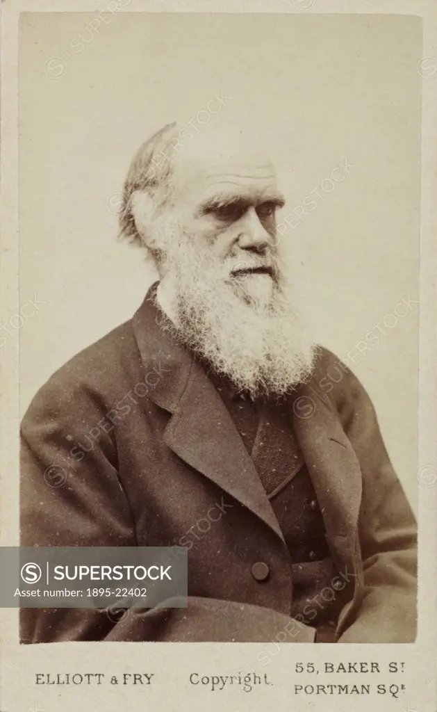 Carte de visite photograph by Elliot & Fry. Charles Robert Darwin (1809-1882), a British naturalist and the originator of evolutionary theory, was emp...