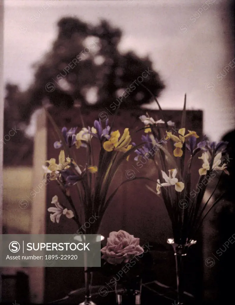 Autochromes were the first commercially available colour process, invented by Auguste (1862-1954) and Louis Lumiere (1865-1948),, patented in 1904 and...
