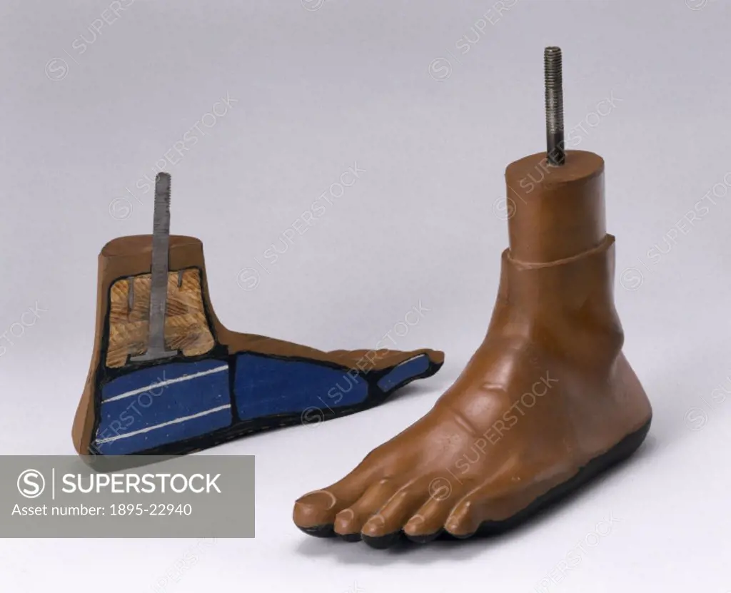 Jaipur artificial foot made in Jaipur, India, pictured alongside a sectioned Jaipur Foot to show construction. The Jaipur Foot was developed in India ...