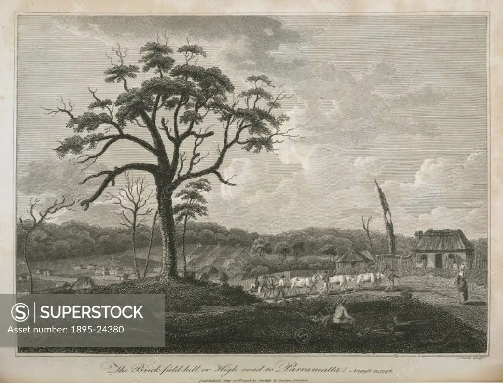 Engraving by J Heath of a view near Sydney, Parramatta is now a suburb of the city. From An account of the English colony in New South Wales: with re...