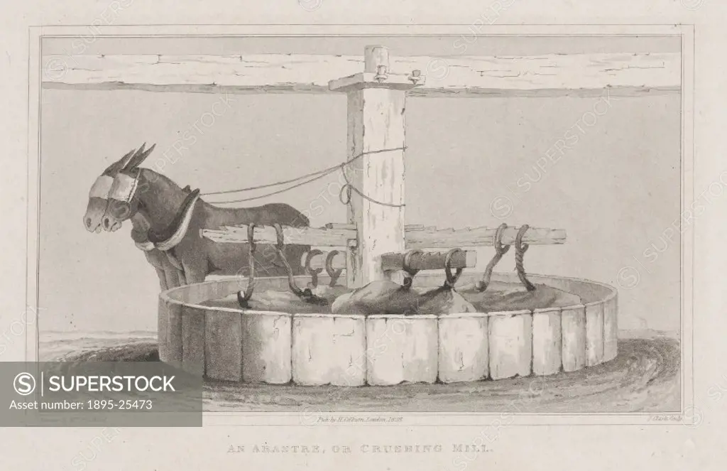 Aquatint by J Clark after H G Ward showing two horses operating a crushing mill.