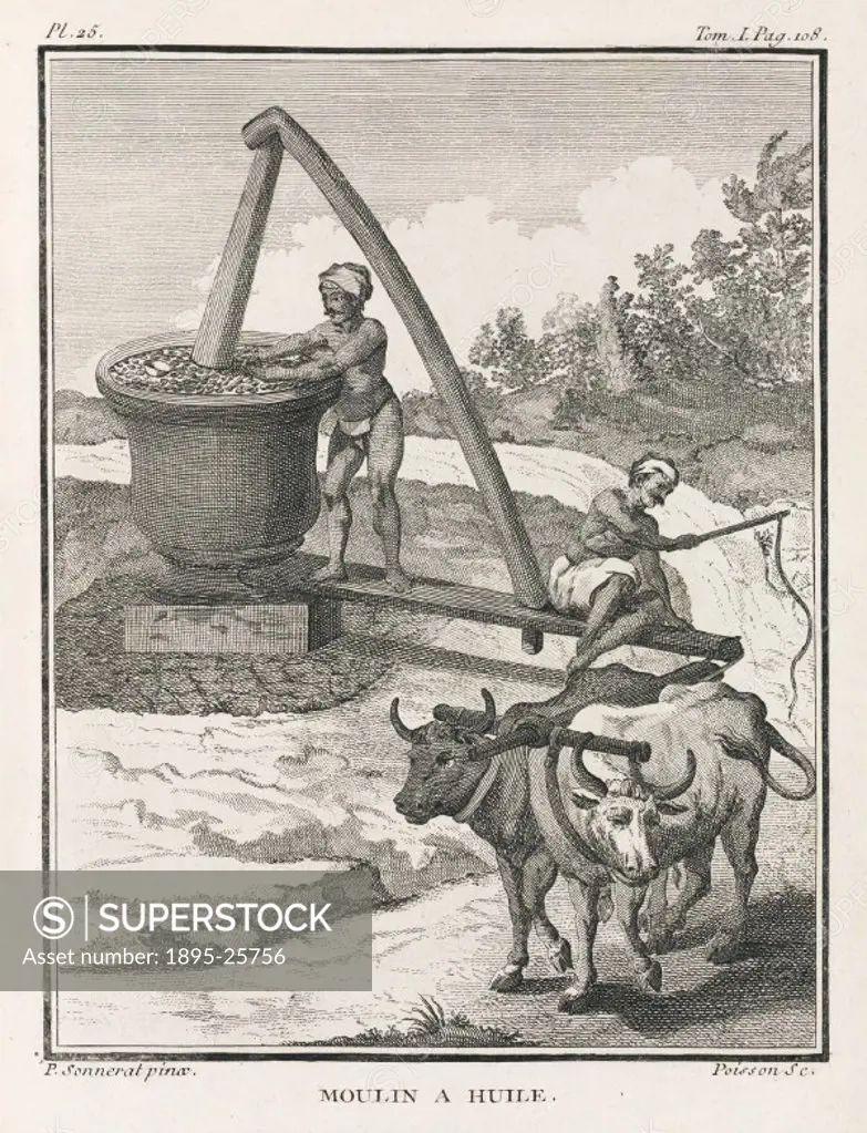 Engraving by Poisson after a painting by Pierre Sonnerat (1748-1814), showing men using oxen to press oil from some sort of plant product. Illustratio...