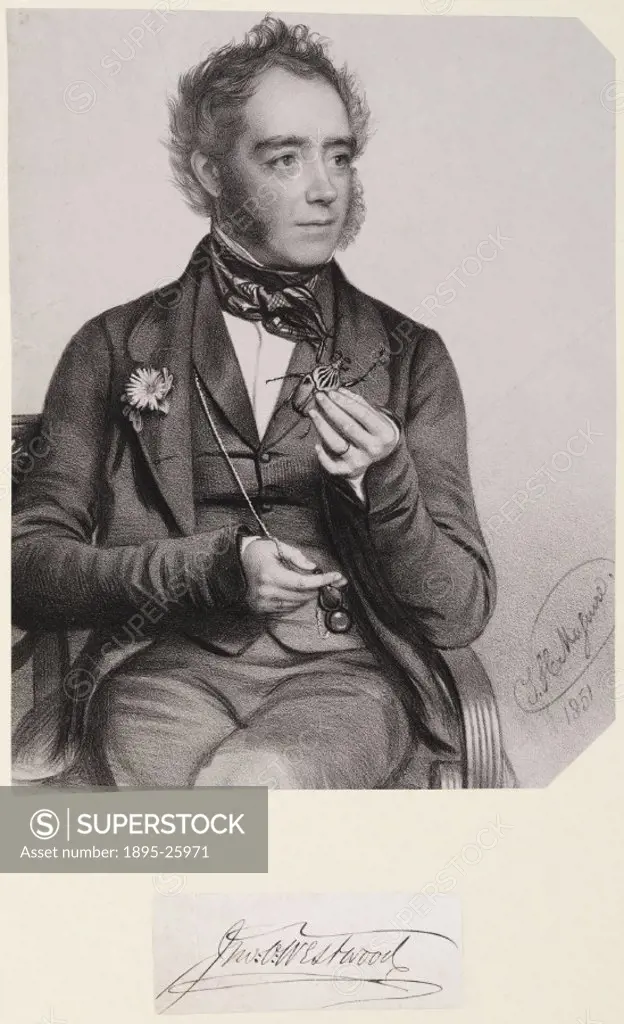 Lithograph by J K Maguire of John Obadiah Westwood (1805-1893). Westwood wrote for many scientific journals and published several entomological textbo...