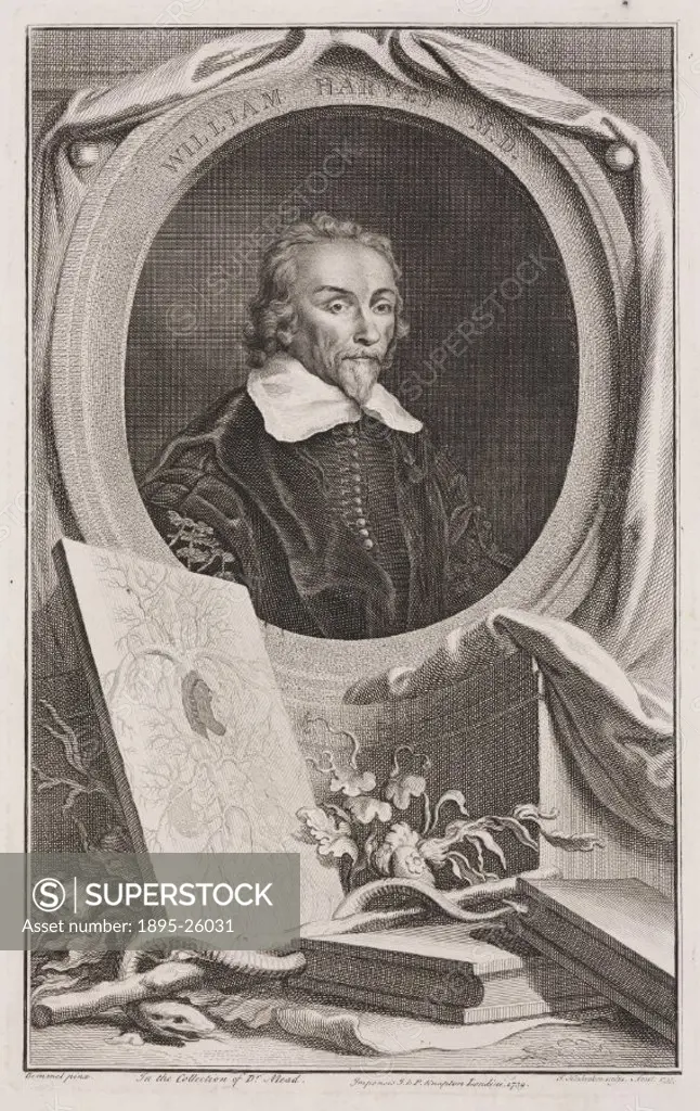 Engraving made in 1732 by Jacobus Houbraken (published in 1739) after a painting by Bemmel. The English physician William Harvey MD, FRCP (1578-1657),...