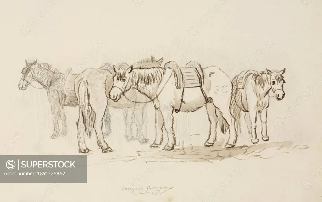 Pen and wash sketch labelled Carrying Galloways’. A Galloway is a strong little breed of horse from Galloway in Scotland. One of a set of 66 watercol...